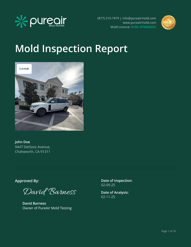 report